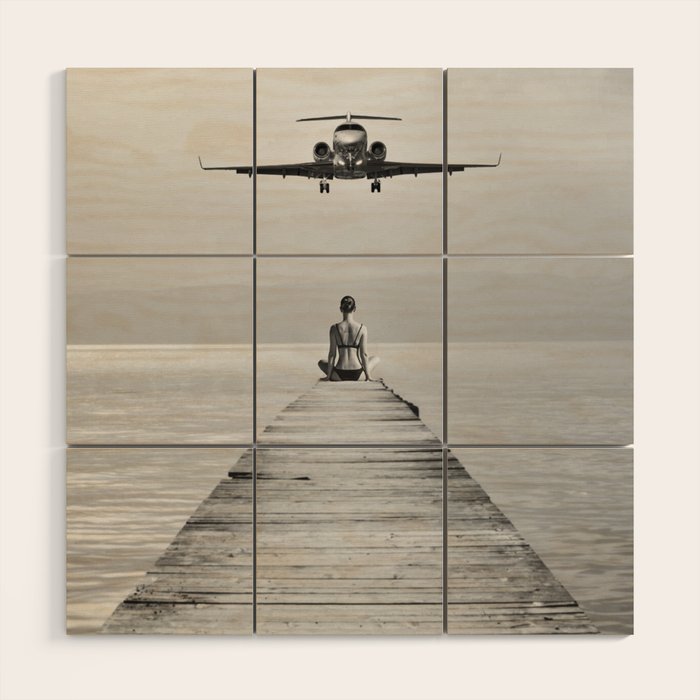 Steady As She Goes 6; aircraft coming in for an island landing female in bikini black and white photography - photographs - photograph Wood Wall Art Gallery Image 1
