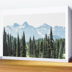 Alpine Adventure Wall Mural Gallery Image 2