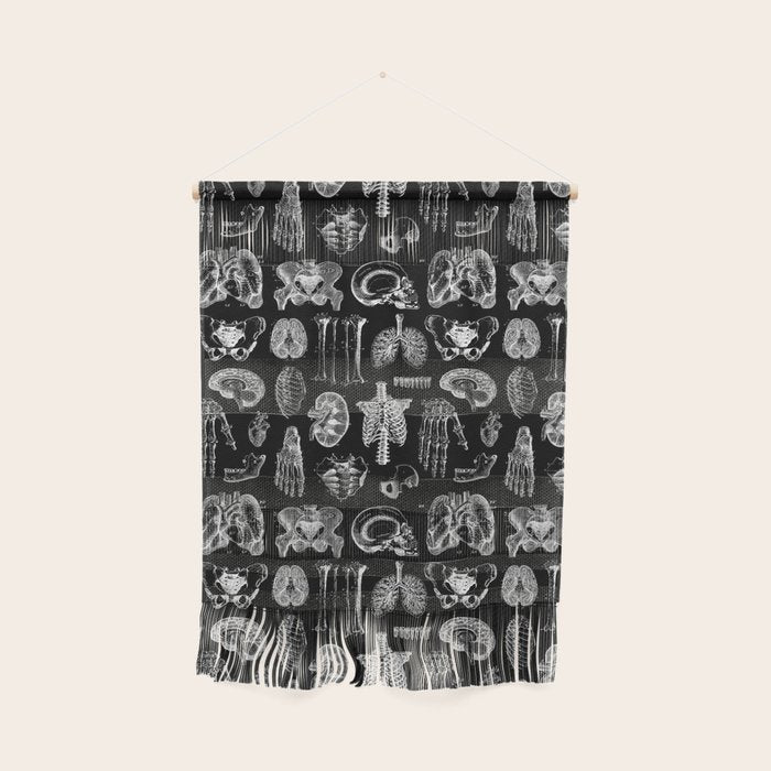 Human Anatomy Black & White Wall Hanging Gallery Image 1