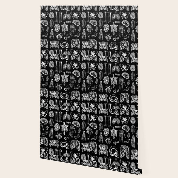 Human Anatomy Black & White Wallpaper Gallery Image 2