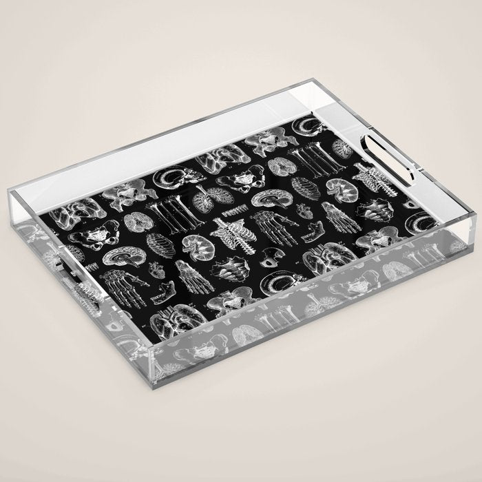 Human Anatomy Black & White Acrylic Tray Gallery Image 1