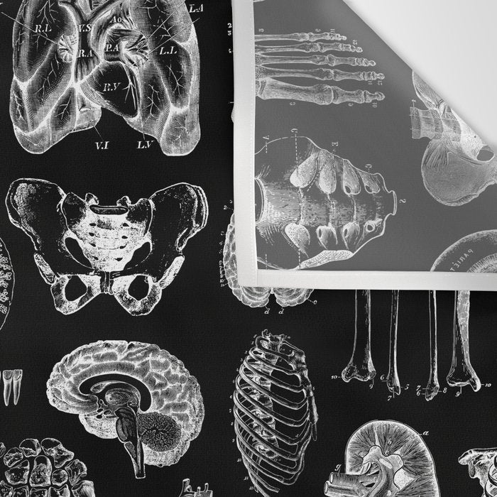 Human Anatomy Black & White Wall Tapestry Gallery Image 3