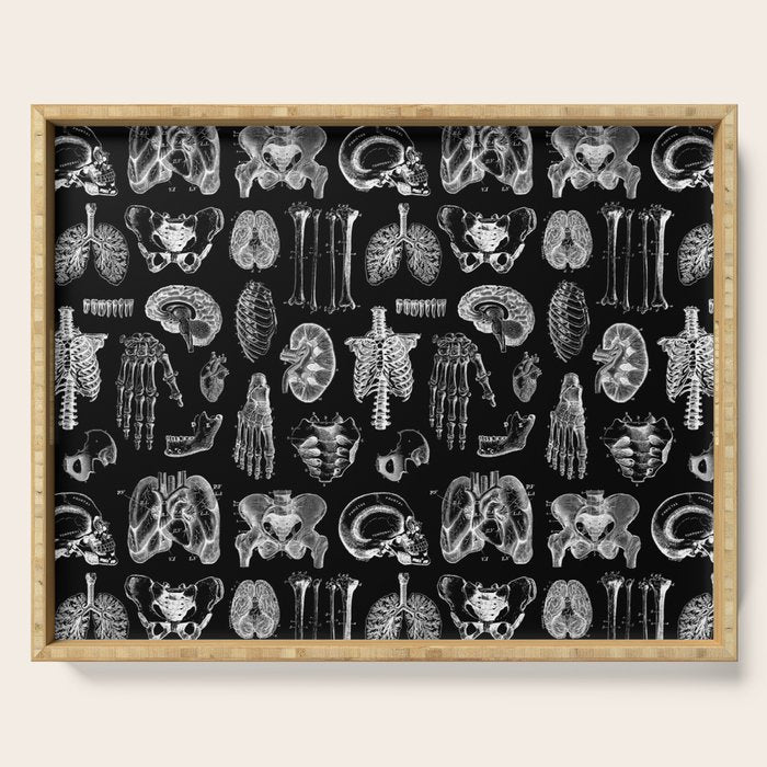 Human Anatomy Black & White Serving Tray Gallery Image 1