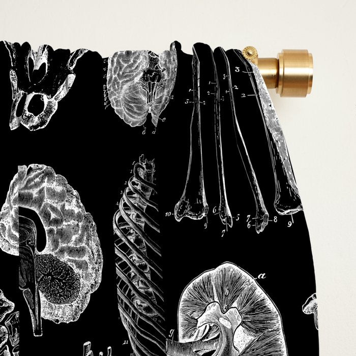 Human Anatomy Black & White Window Curtain Gallery Image 2
