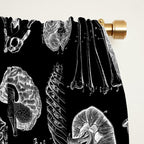 Human Anatomy Black & White Window Curtain Gallery Image 2