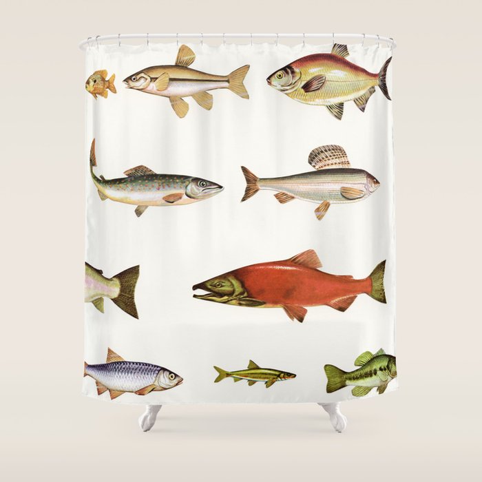 Fishing Line Shower Curtain Gallery Image 1