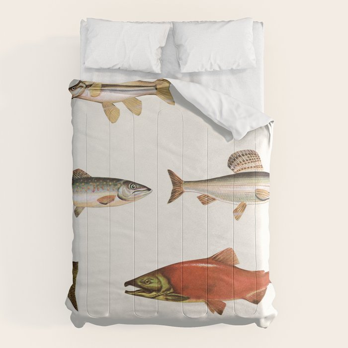 Fishing Line Comforter Gallery Image 1