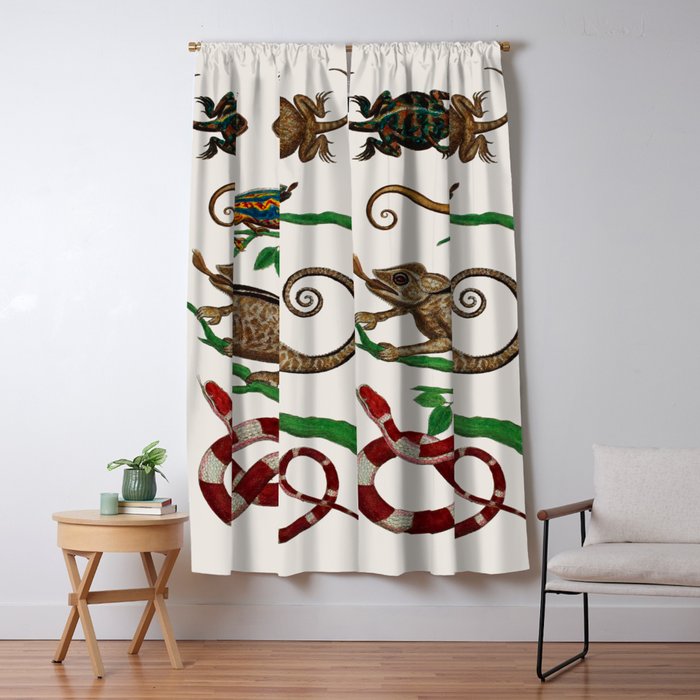 Albertus Seba Iguana And Snakes Window Curtain Gallery Image 1