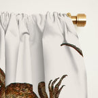 Albertus Seba Iguana And Snakes Window Curtain Gallery Image 2