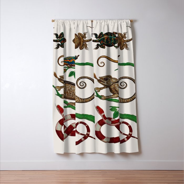Albertus Seba Iguana And Snakes Window Curtain Gallery Image 3