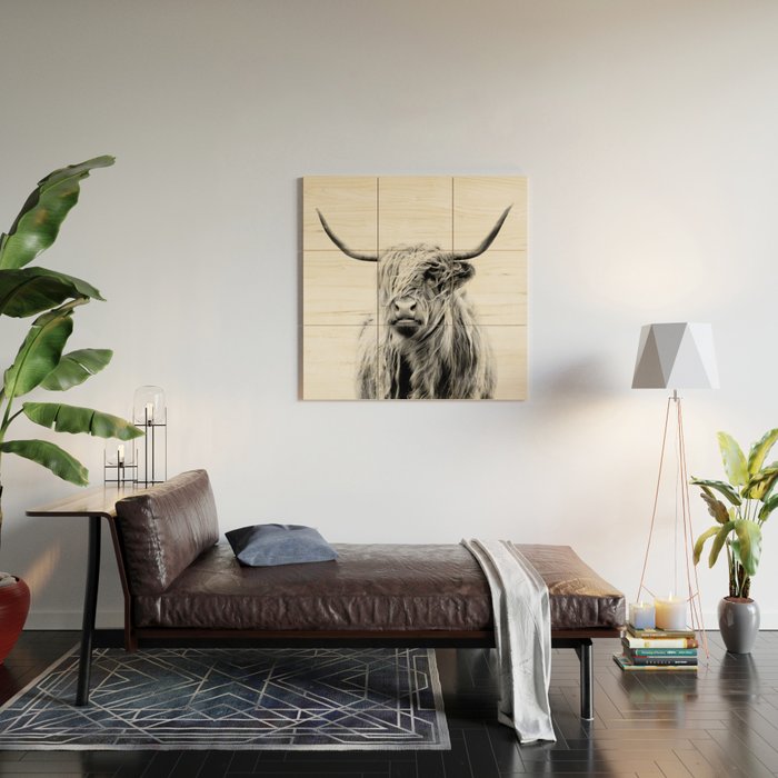 portrait of a highland cow (horizontal) Wood Wall Art Gallery Image 2