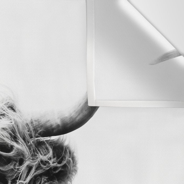 portrait of a highland cow (horizontal) Wall Tapestry Gallery Image 3