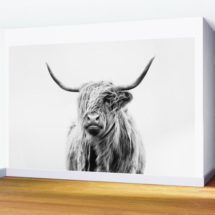 portrait of a highland cow (horizontal) Wall Mural Gallery Image 2