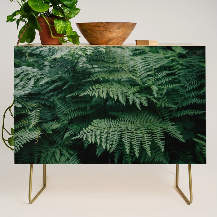 Ferns VII Credenza Gallery Image 1