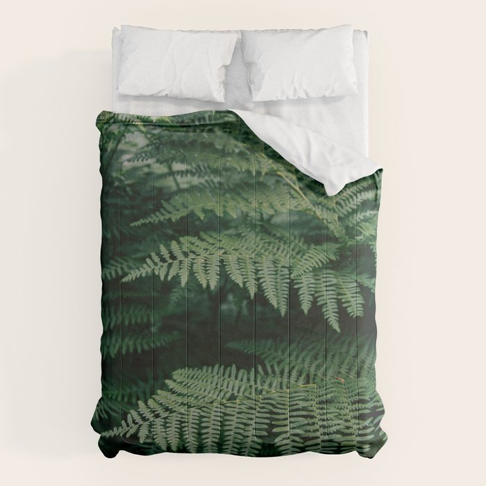 Ferns VII Comforter Gallery Image 1
