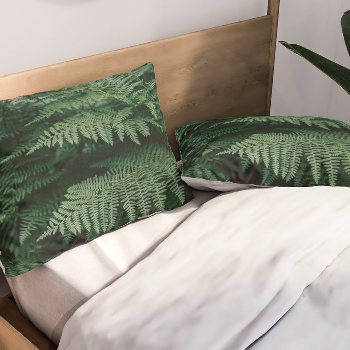 Ferns VII Pillow Sham Gallery Image 2