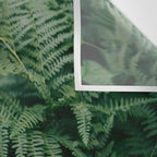Ferns VII Wall Tapestry Gallery Image 3