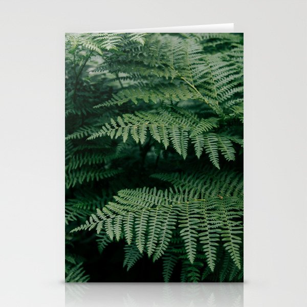 Ferns VII Stationery Card Gallery Image 2