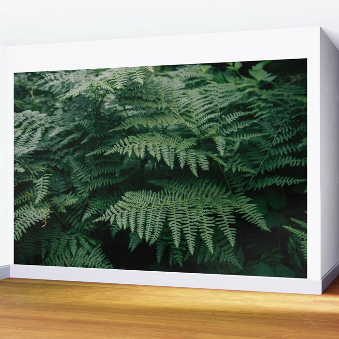 Ferns VII Wall Mural Gallery Image 2