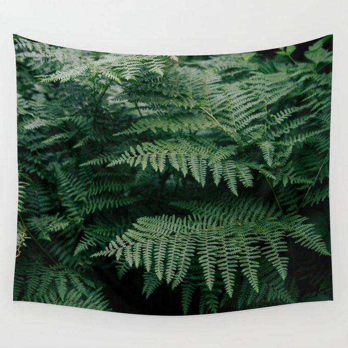Ferns VII Wall Tapestry Gallery Image 4