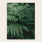 Ferns VII Notebook Gallery Image 4
