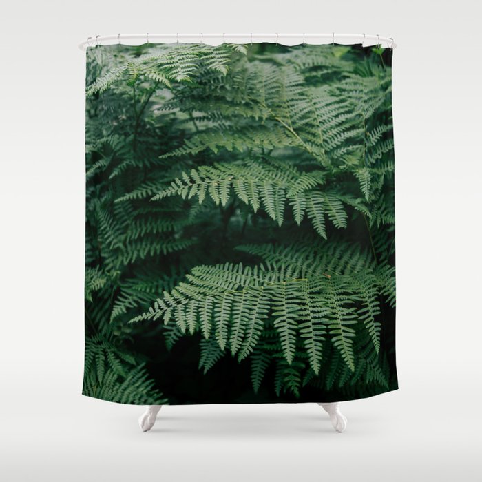 Ferns VII Shower Curtain Gallery Image 1