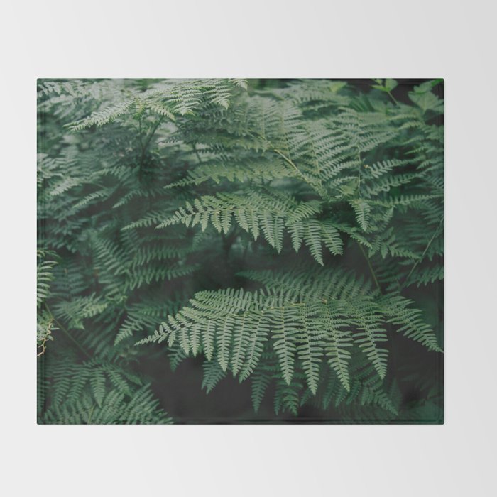Ferns VII Throw Blanket Gallery Image 2