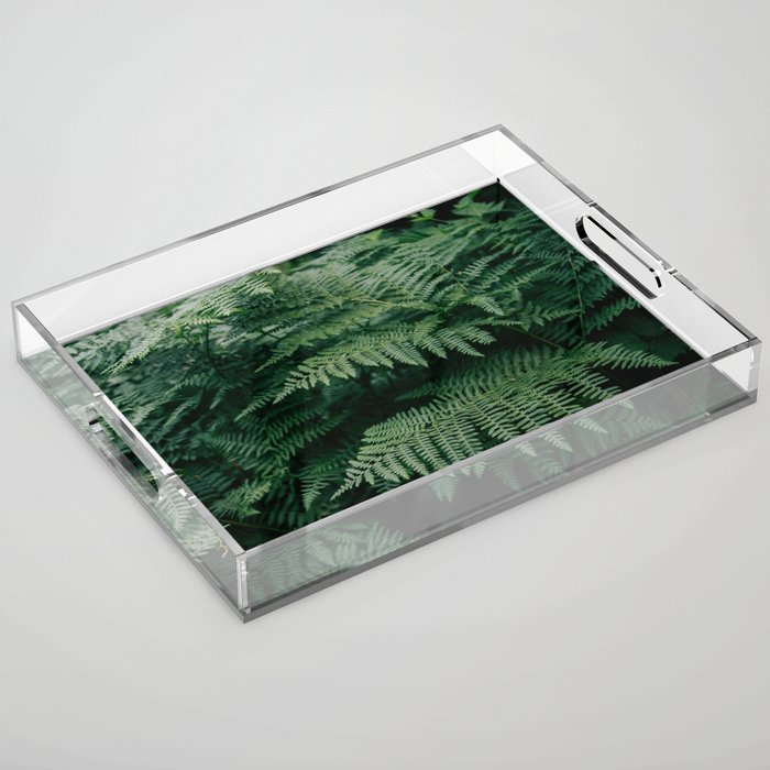 Ferns VII Acrylic Tray Gallery Image 1