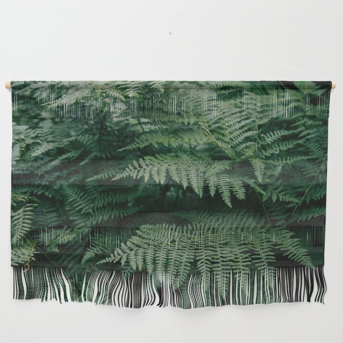 Ferns VII Wall Hanging Gallery Image 1