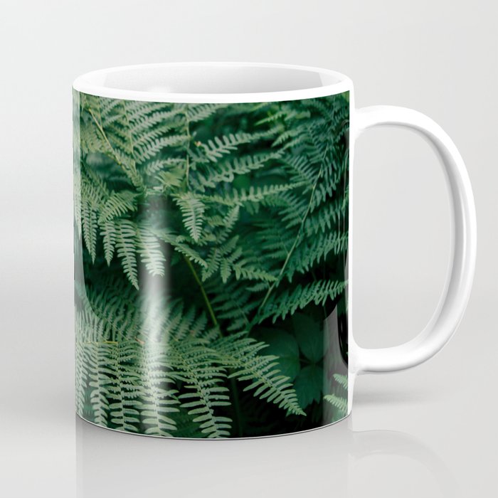 Ferns VII Coffee Mug Gallery Image 1