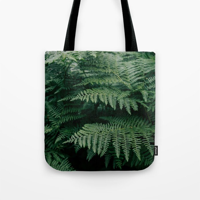 Ferns VII Tote Bag Gallery Image 1