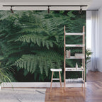 Ferns VII Wall Mural Gallery Image 1