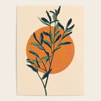 Eucalyptus Sun Poster Gallery Image 4