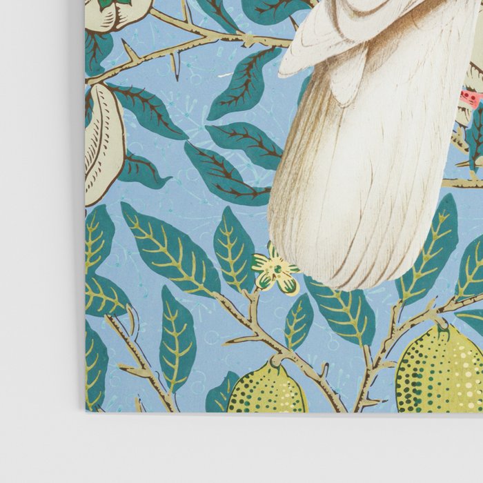 Tropical Cockatoo Bird on Antique William Morris Four Fruits Pattern Poster Gallery Image 3