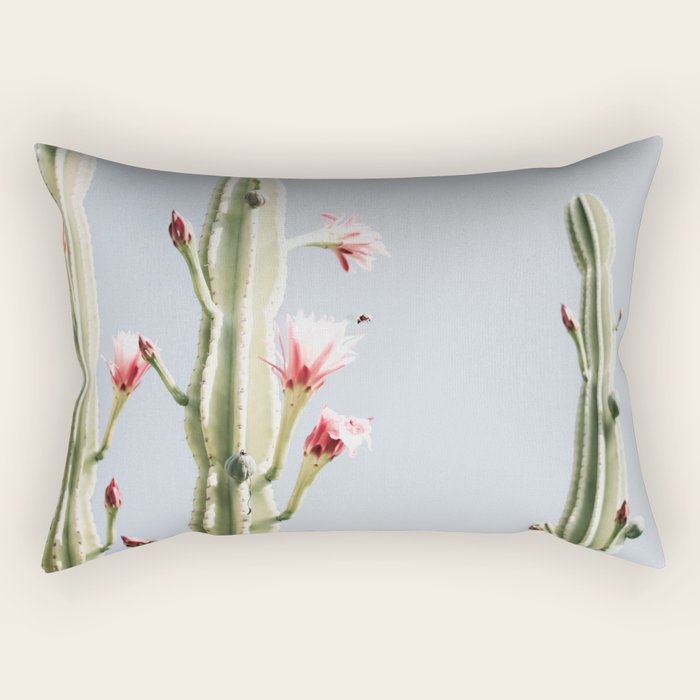 Cereus Cactus Blush - Desert Cactus - Pink Flowers - Travel Nature photography by Ingrid Beddoes Rectangular Pillow Gallery Image 2