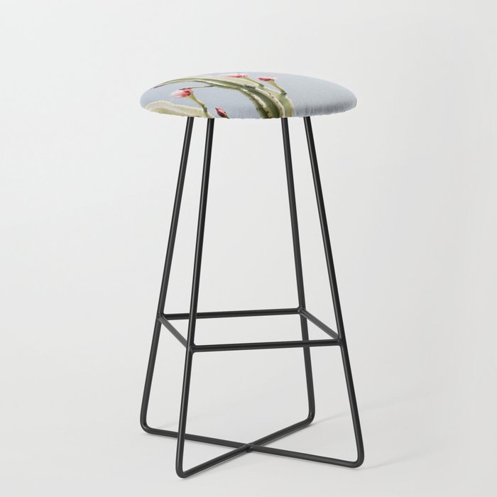 Cereus Cactus Blush - Desert Cactus - Pink Flowers - Travel Nature photography by Ingrid Beddoes Stool Gallery Image 1