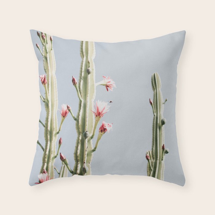 Cereus Cactus Blush - Desert Cactus - Pink Flowers - Travel Nature photography by Ingrid Beddoes Throw Pillow Gallery Image 1