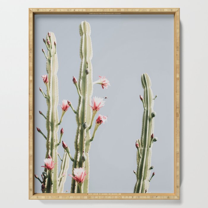 Cereus Cactus Blush - Desert Cactus - Pink Flowers - Travel Nature photography by Ingrid Beddoes Serving Tray Gallery Image 1