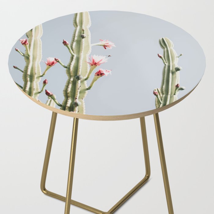 Cereus Cactus Blush - Desert Cactus - Pink Flowers - Travel Nature photography by Ingrid Beddoes Side Table Gallery Image 2