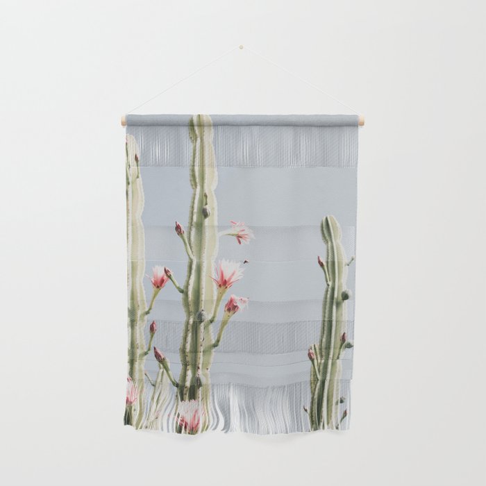 Cereus Cactus Blush - Desert Cactus - Pink Flowers - Travel Nature photography by Ingrid Beddoes Wall Hanging Gallery Image 1