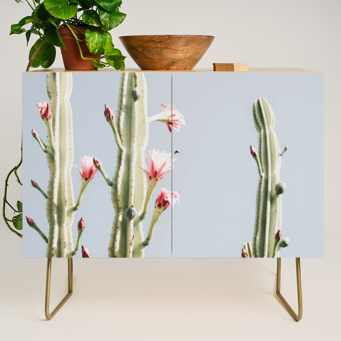 Cereus Cactus Blush - Desert Cactus - Pink Flowers - Travel Nature photography by Ingrid Beddoes Credenza Gallery Image 1