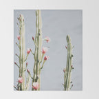 Cereus Cactus Blush - Desert Cactus - Pink Flowers - Travel Nature photography by Ingrid Beddoes Throw Blanket Gallery Image 2