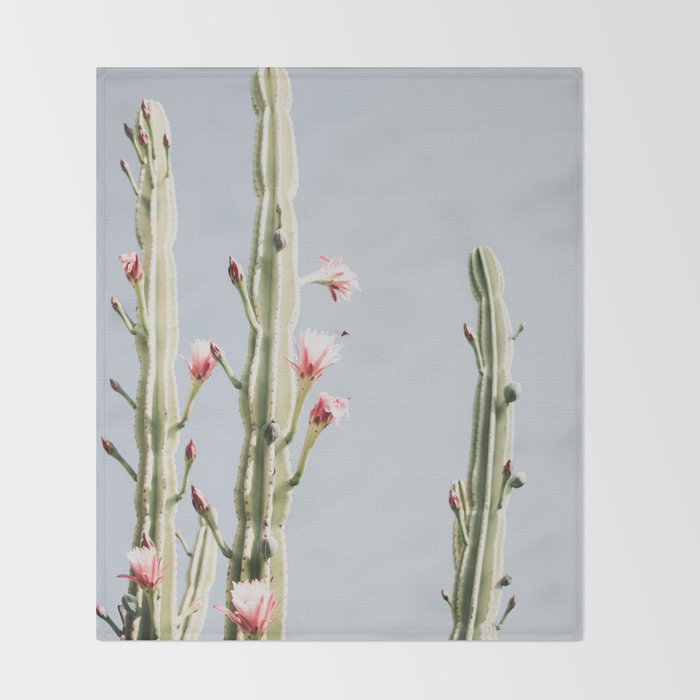 Cereus Cactus Blush - Desert Cactus - Pink Flowers - Travel Nature photography by Ingrid Beddoes Throw Blanket Gallery Image 2