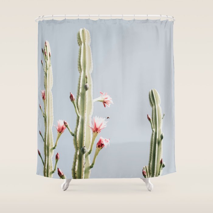 Cereus Cactus Blush - Desert Cactus - Pink Flowers - Travel Nature photography by Ingrid Beddoes Shower Curtain Gallery Image 1