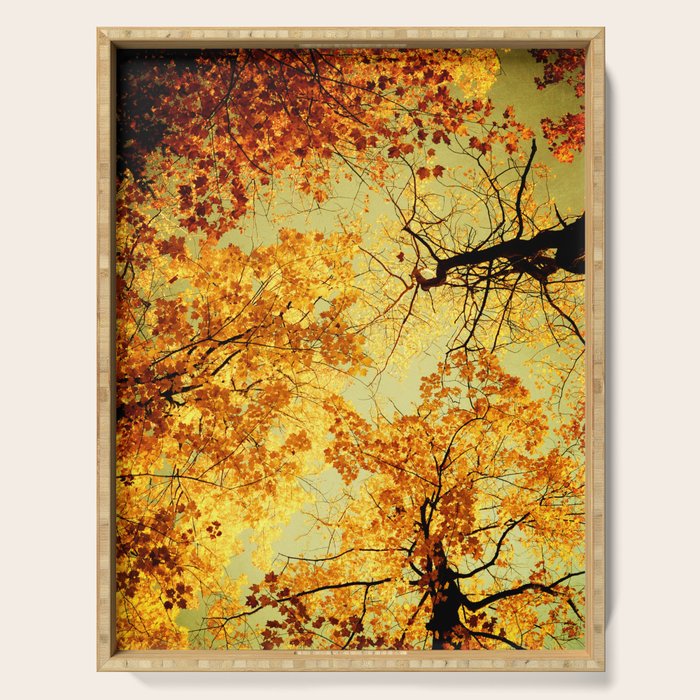 We Are Starlight, We Are Golden Serving Tray Gallery Image 1