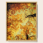 We Are Starlight, We Are Golden Serving Tray Gallery Image 1