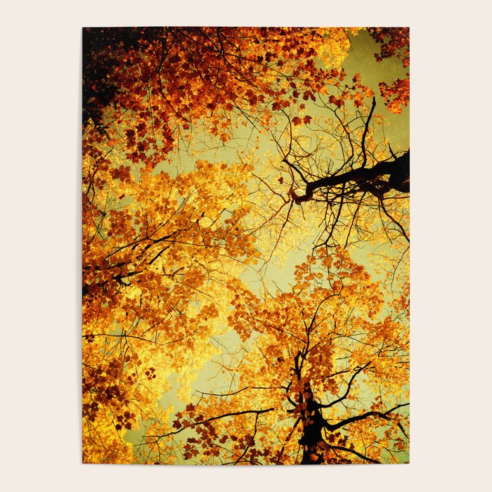 We Are Starlight, We Are Golden Poster Gallery Image 4