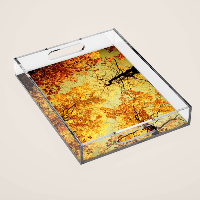 We Are Starlight, We Are Golden Acrylic Tray Gallery Image 1