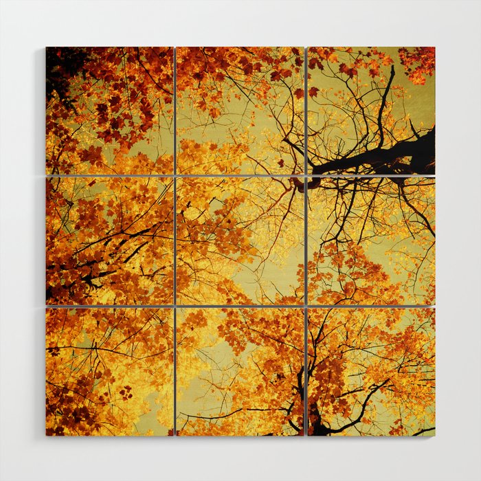 We Are Starlight, We Are Golden Wood Wall Art Gallery Image 1