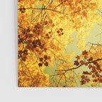 We Are Starlight, We Are Golden Poster Gallery Image 3